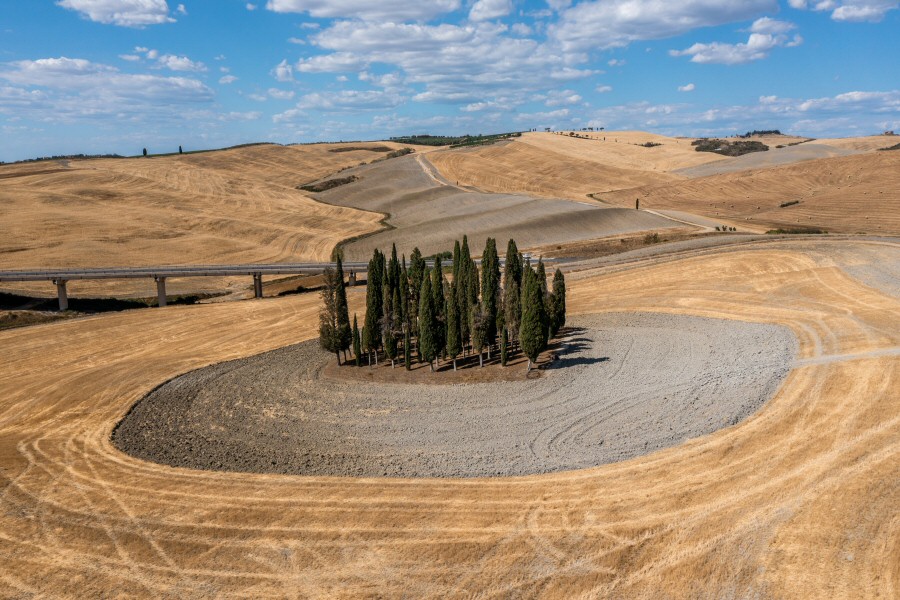 Val d'Orcia - Il Gladiatore