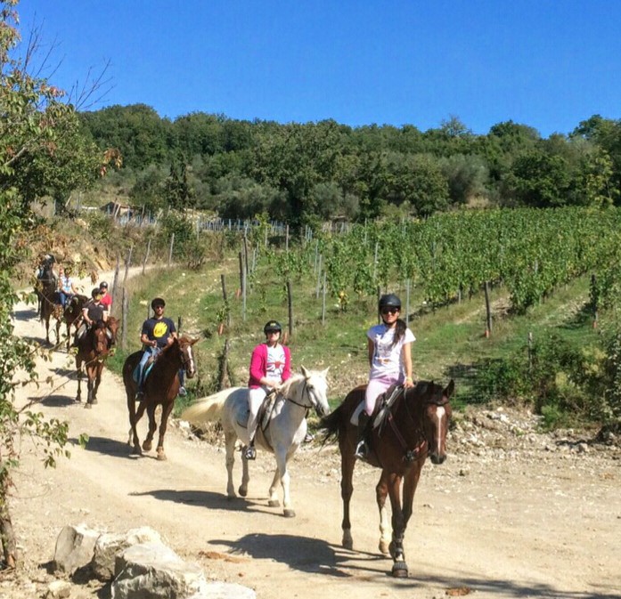 Lezioni di equitazione