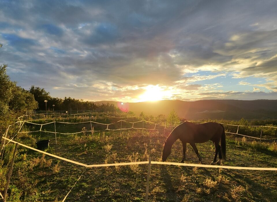 Cavallo al tramonto in Toscana