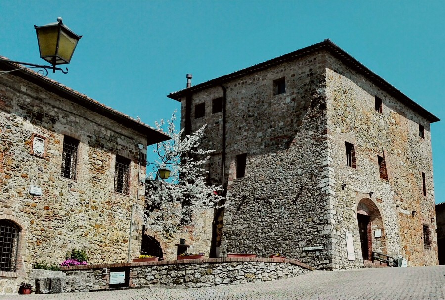 L'esperienza al Museo Etrusco di Murlo