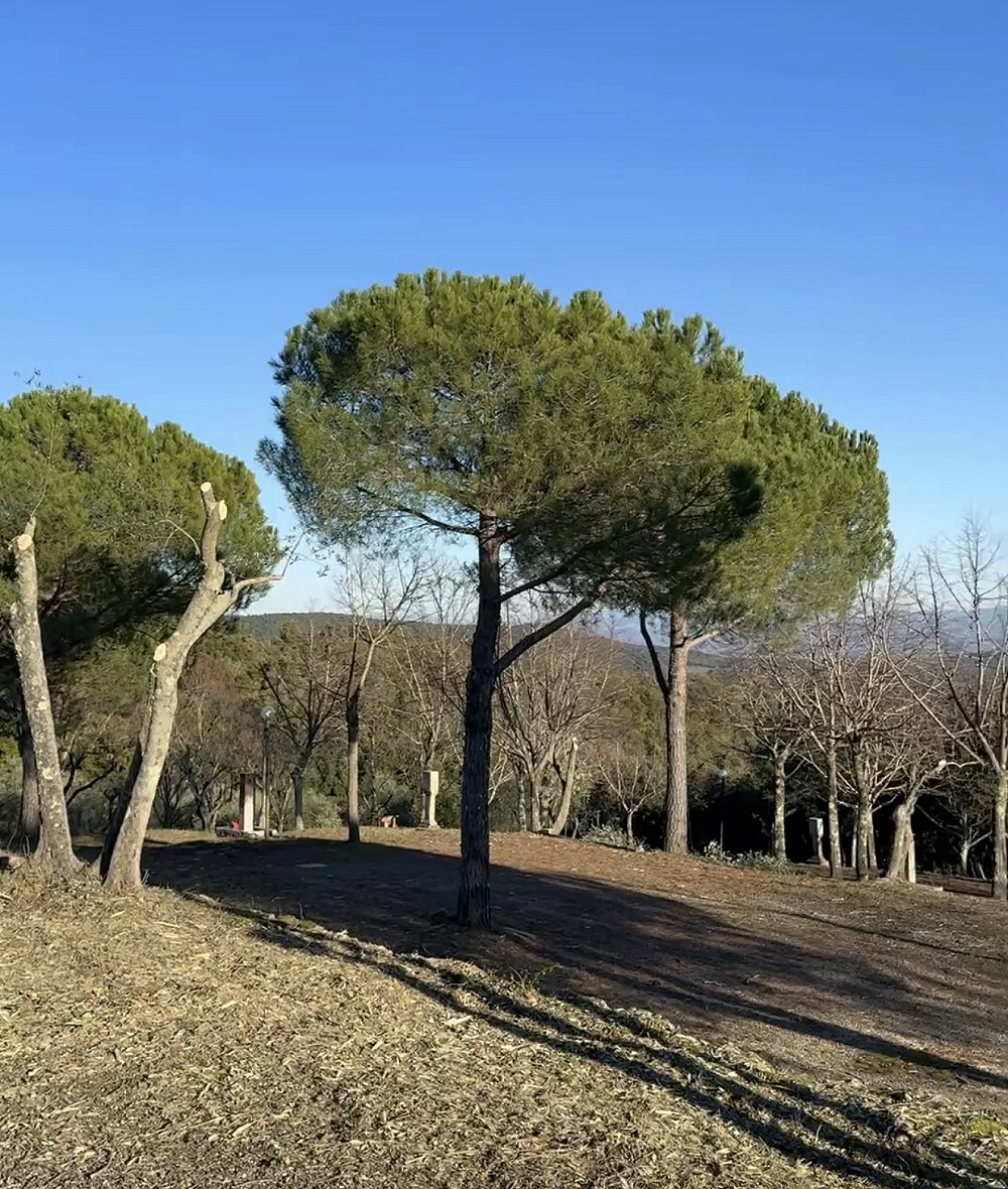 Piazzola Superior
